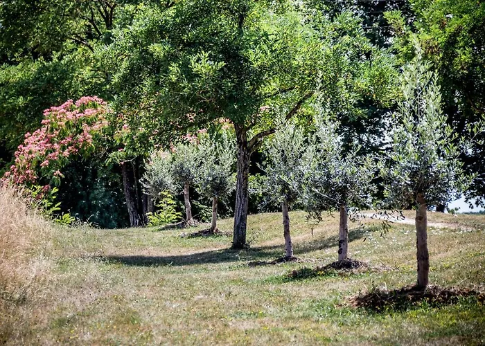 D'hotes Enmarcade ホームステイ *