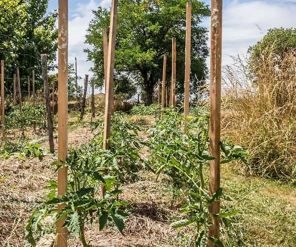 D'hotes Enmarcade Touget