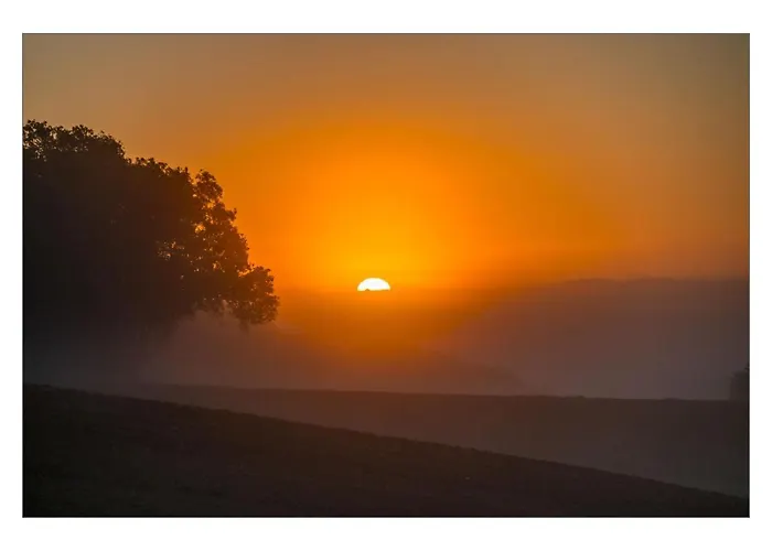 ホームステイ D'hotes Enmarcade Touget