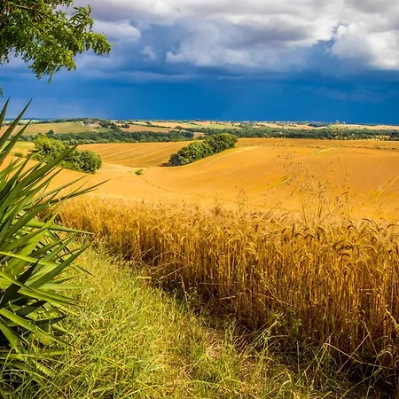 D'hôtes Enmarcade *