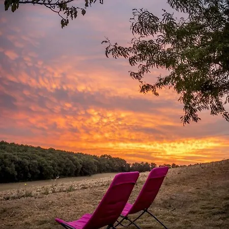 홈스테이 D'hotes Enmarcade Touget