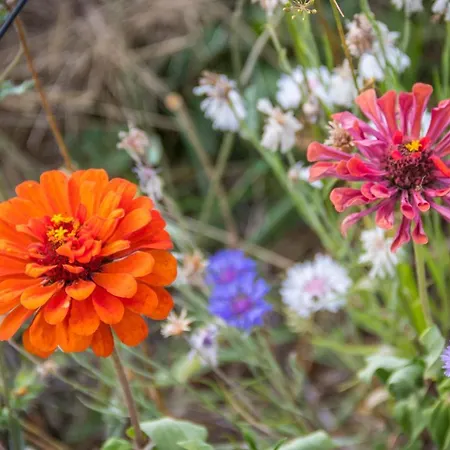 홈스테이 D'hotes Enmarcade