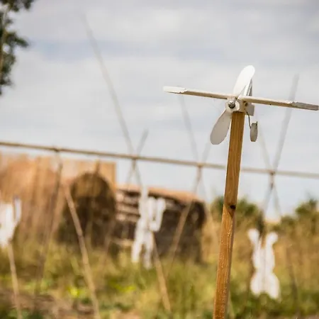 D'hotes Enmarcade * Touget