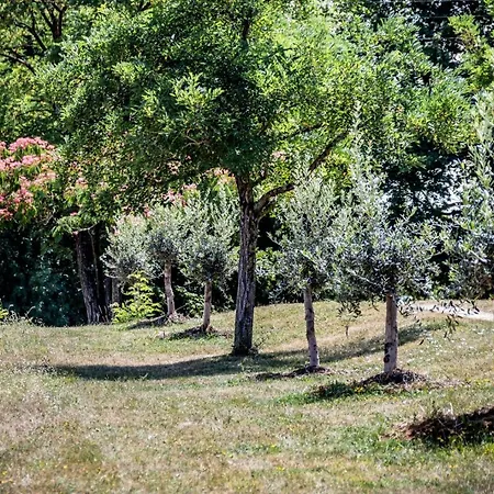 D'hotes Enmarcade 홈스테이 *