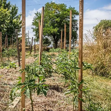 D'hotes Enmarcade Touget