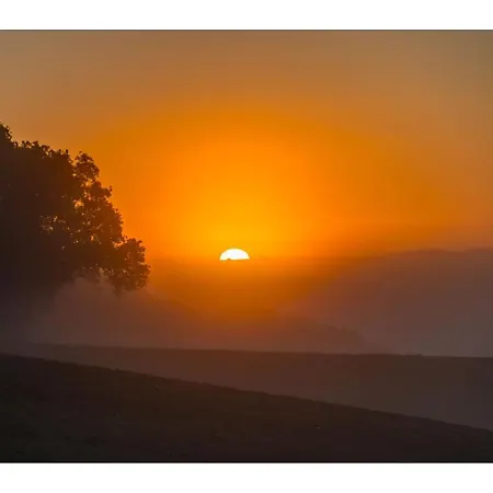 홈스테이 D'hotes Enmarcade Touget